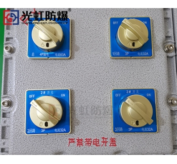 粉塵防爆配電箱 現場防爆動力配電箱