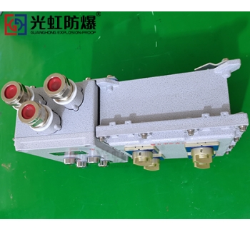 粉塵防爆配電箱 現場防爆動力配電箱