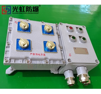 粉塵防爆配電箱 現場防爆動力配電箱