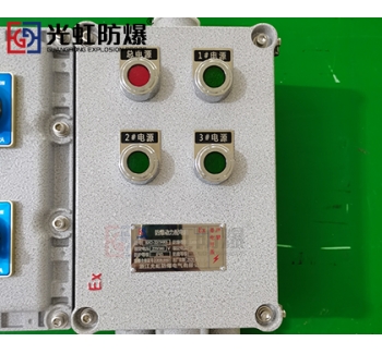 粉塵防爆配電箱 現場防爆動力配電箱