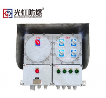 CT4/CT6防爆照明配電箱（戶外壁掛式）