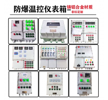 防爆溫控儀表箱 電加熱防爆溫控箱帶數顯按鍵