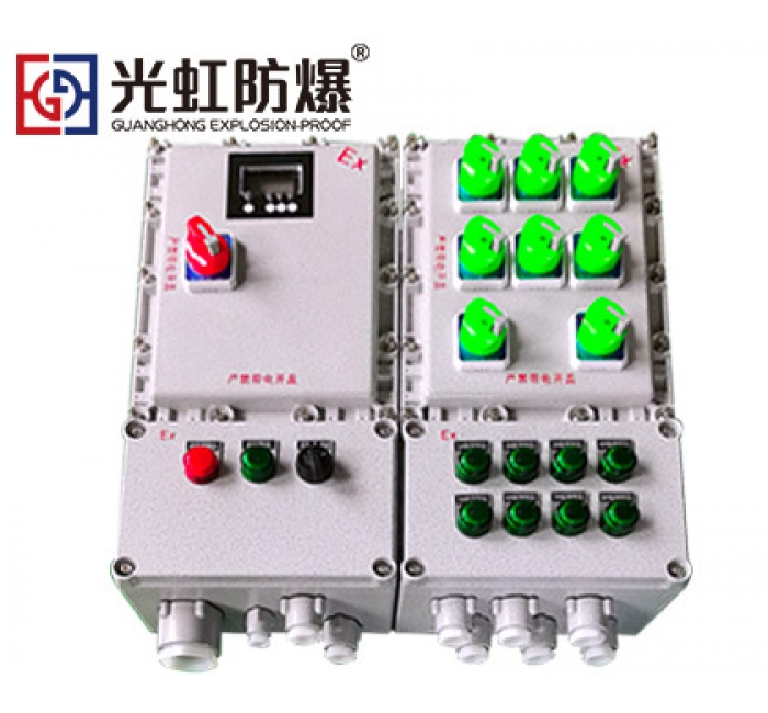 電伴熱防爆溫控箱 鑄鋁合金帶觀察視窗數顯溫度