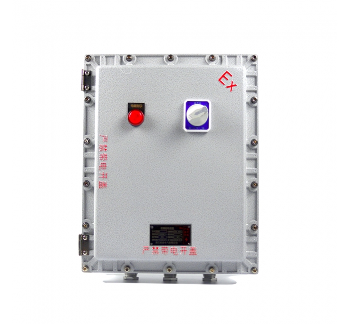 500X600X200粉塵防爆接線箱 防爆監控模塊箱